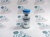 Purchasepeptides GHRP-6 (5mg)