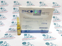 Zhengzhou Testesterone Enanthate U.S.P 250mg 1 ml