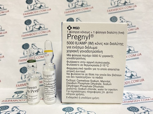 Organon Pregnyl (Хорионический гонадотропин) 5000UI