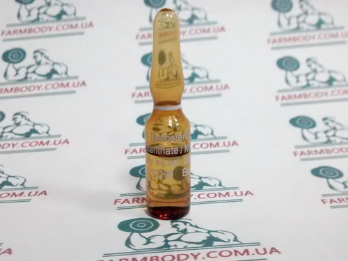 Norma Hellas Testosterone Enanthate 1 ml